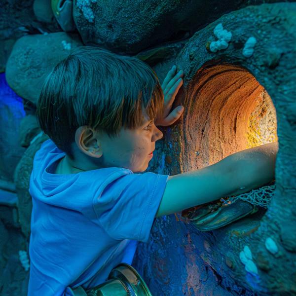 In the Økolariet exhibition, a boy is examining a small cave from which a warm light is radiating.