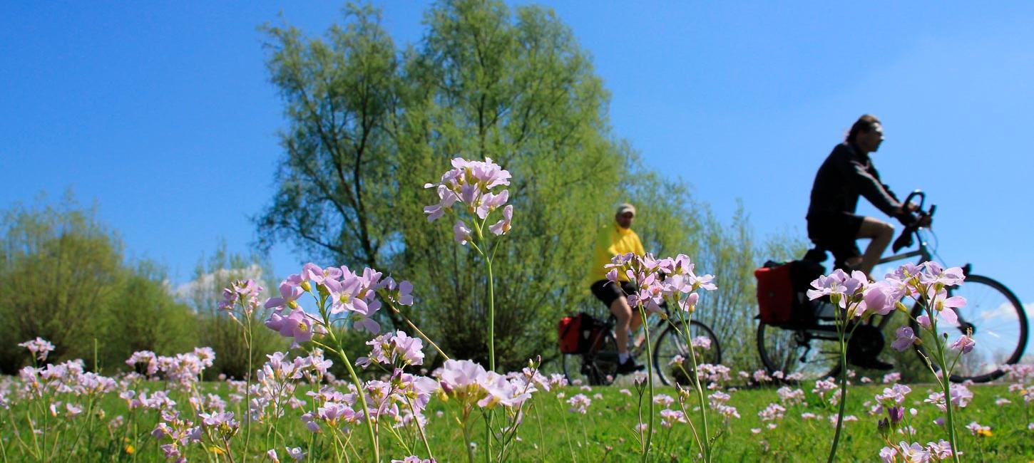 Bed&Bike i Kolding