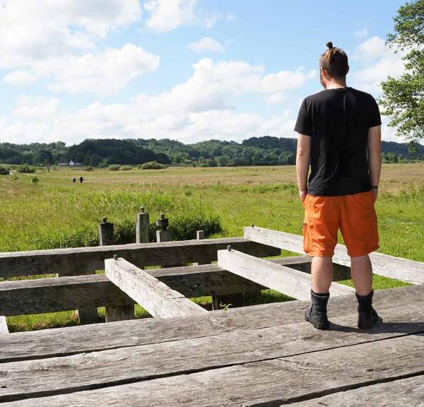 A man stands on the reconstruction of the Ravning Bridge and looks out over the lush meadows in Vejle Ådal.