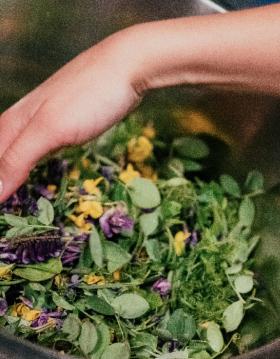 Raavarer-LYST- Destination Trekantomraadet