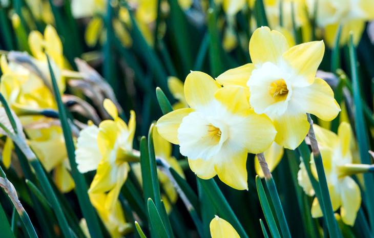 Påskeferie i Kolding